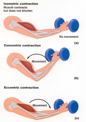 90dgr 3contractions